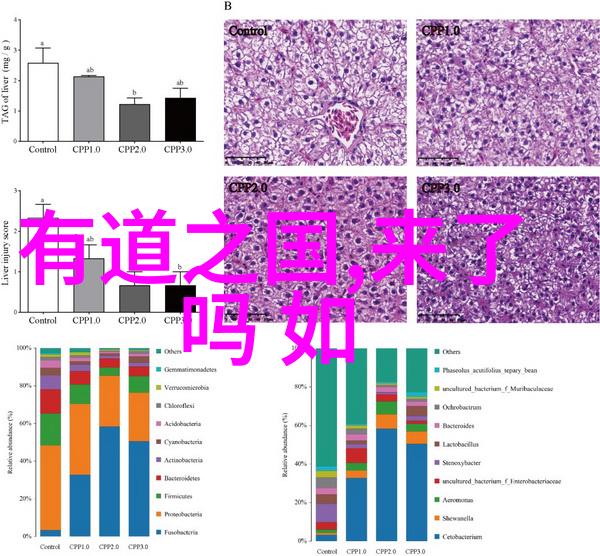 唐诗宋词300首精选名句 - 碧波荡漾唐宋诗词中的水景美篇