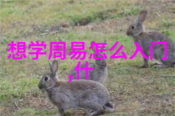 现代道家人物排名 - 道法天地揭秘当代道教高人之榜单