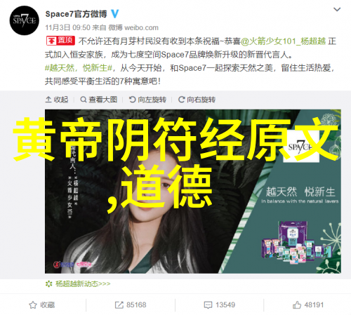 道家文化的精髓与哲学深度道家哲学的源头与实践