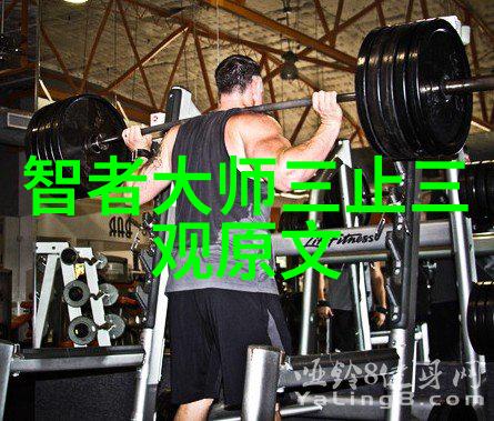 无为而无不为静观世界的智慧