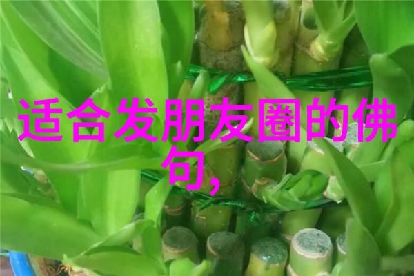 大道至简的哲学在女生的生活中扮演什么角色
