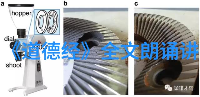 情感中的坚定与内心的平静探索无欲则刚的哲学意义