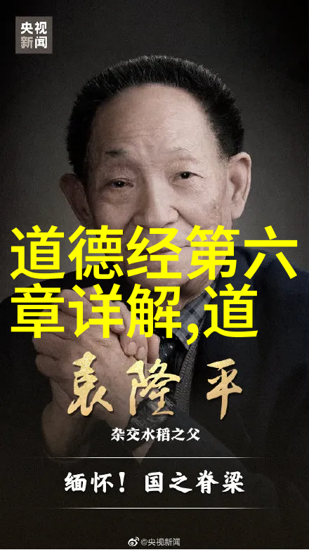 小说家的思想主张探索文学作品背后的深层意义
