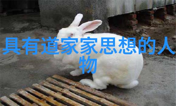 道家都有什么人物你知道吗道家也有超级有趣的哲学大师