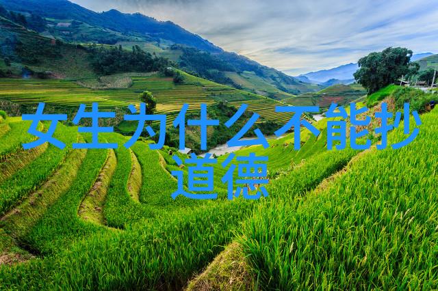 道韵探幽揭秘天地间的神秘旋律