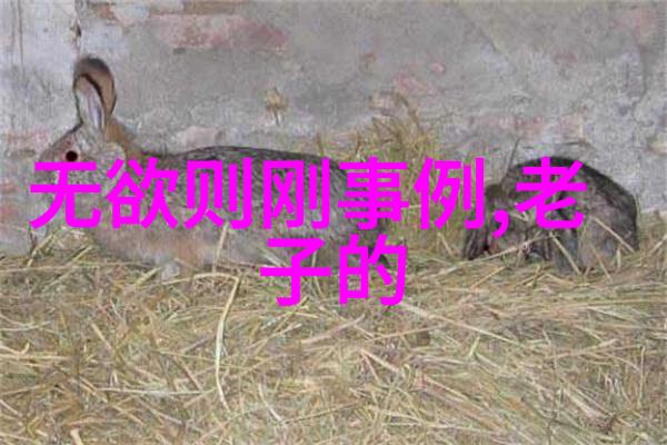 道家的修身养性原则是否受到了老子的直接启发为什么这样认为