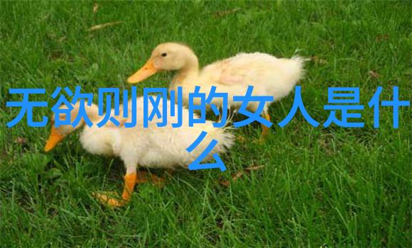 道家学派代表人物之谜谁是真正的道法至尊
