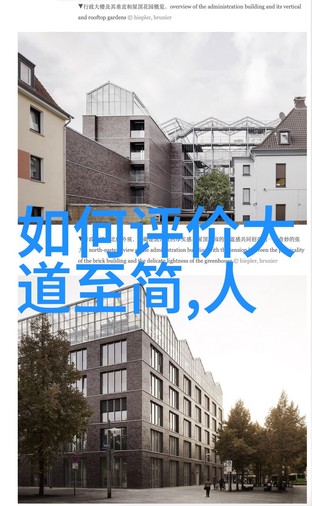 无为无不为无可无不可哲学中的无为而治与存在的意义探究