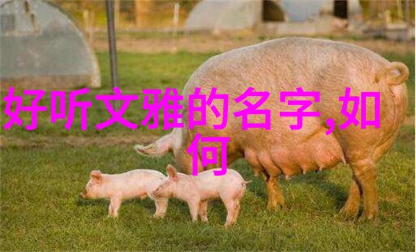 墨香沉浮探秘中国书法艺术的奥秘与迷雾