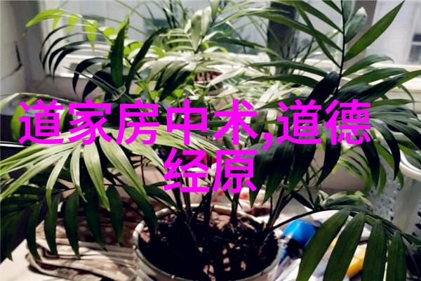 六种人不宜去道观-避邪揭秘六类人士慎入道观的缘由