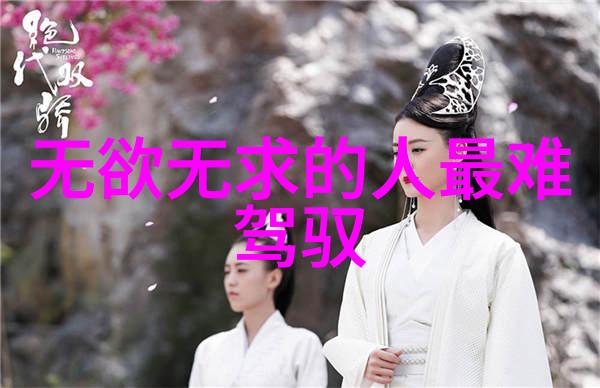 探索个人成长之路能不能既追求目标又保持内心的宁静与淡定