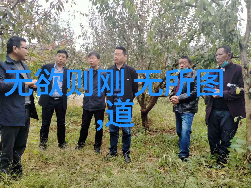 生活感悟我是不是就这样无为了