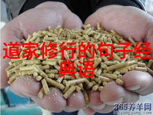 道家经典缘分古代哲学中的命中注定与缘分论述