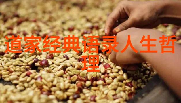 闻香探案录俺来给你讲个真实的故事