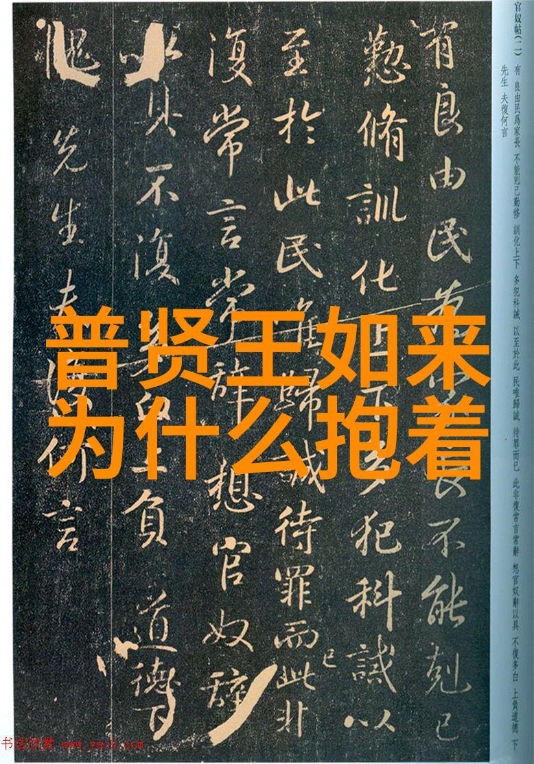 王阳明之谜心学大师的失落日记