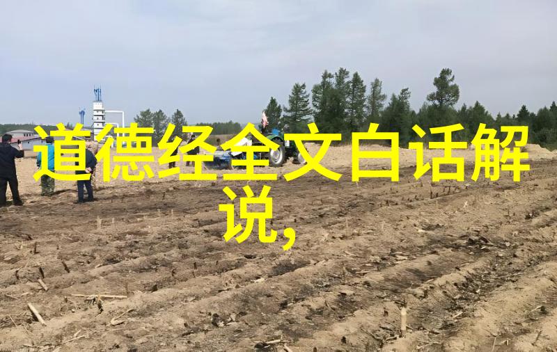 探索黄庭经的奥义原文与译文对比解读