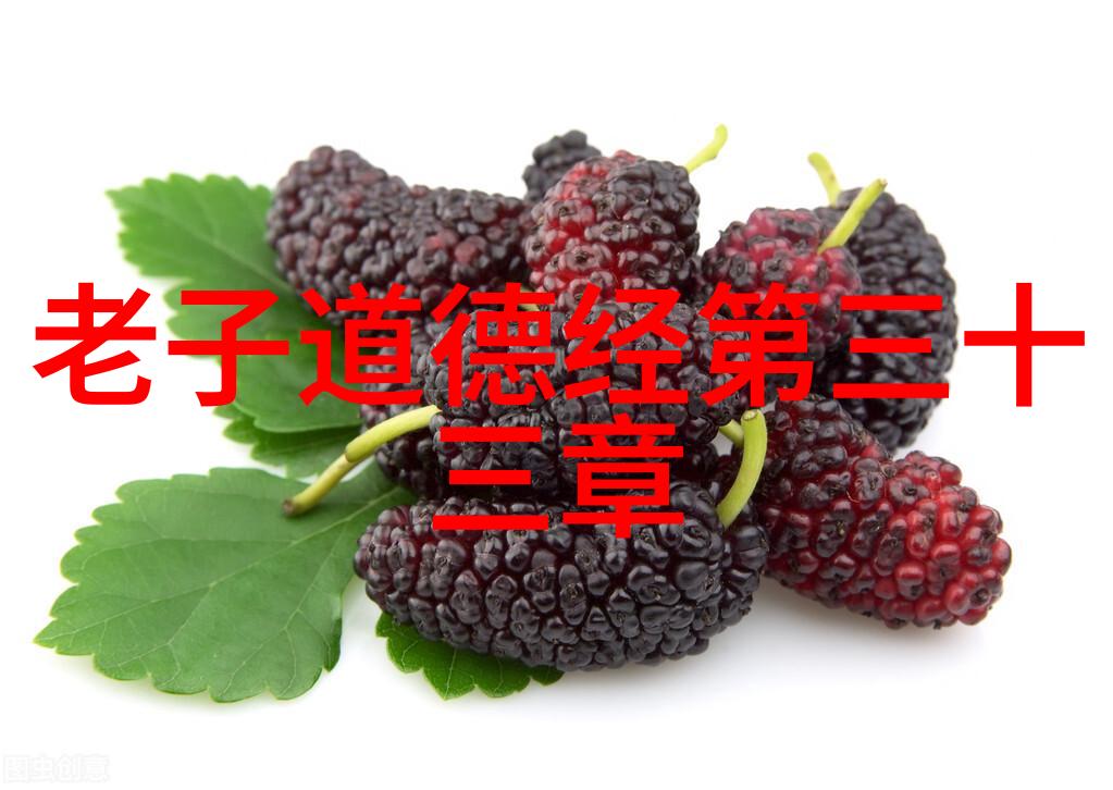 名家书香探索中国书法艺术的瑰宝