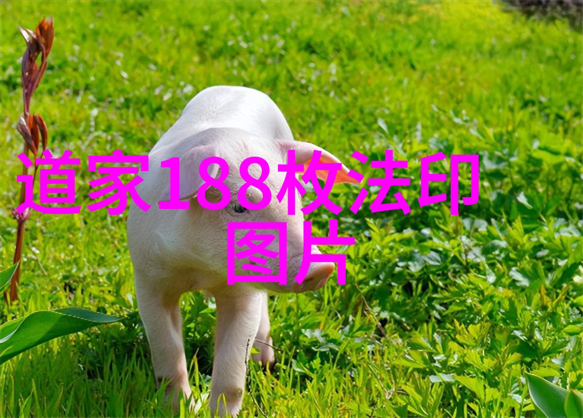 哲学探索-无欲则刚超越欲望的强大之路