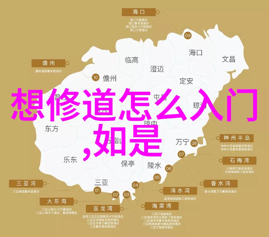 道术秘笈当道士的修炼与悟道