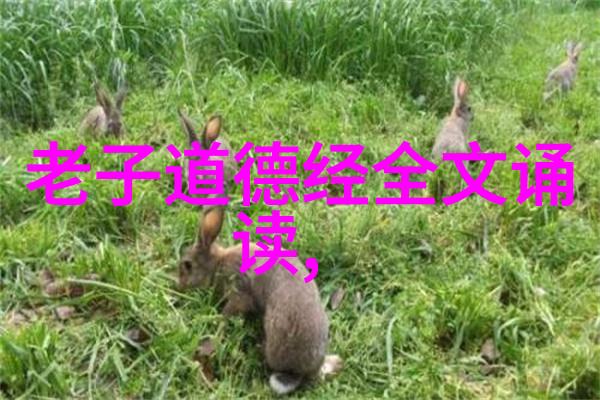 感情里的无欲则刚是什么意思心中那把剑解读无欲则刚的情感哲学
