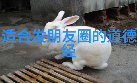 如何理解老子的无为而无不为我是怎么领会到老子无为而治哲学的