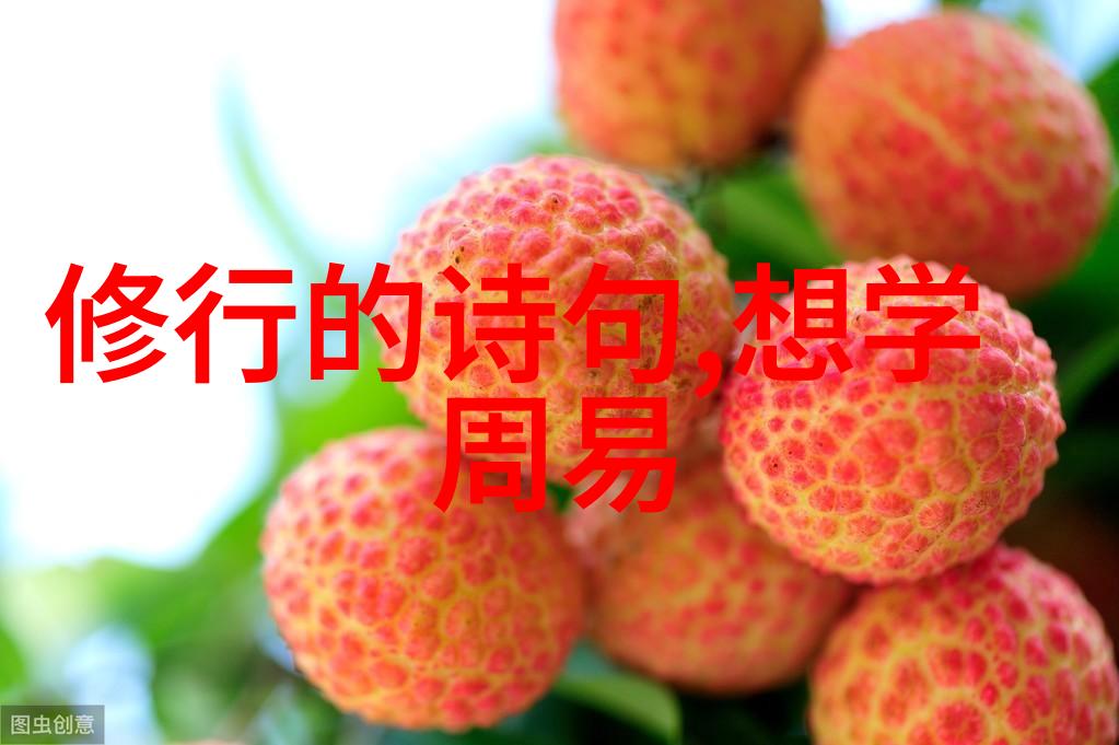 道家哲学之光老子与庄子的智慧辉映道家经典思想