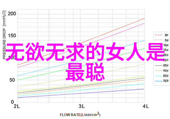 隐秘的道揭开古老文化之谜