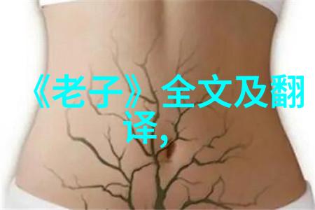 常无为而无不为揭秘那个永远做得太多却从未做错过的人的秘密生活