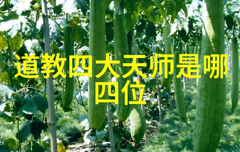 宇宙无情探索天地不仁背后的哲学深度