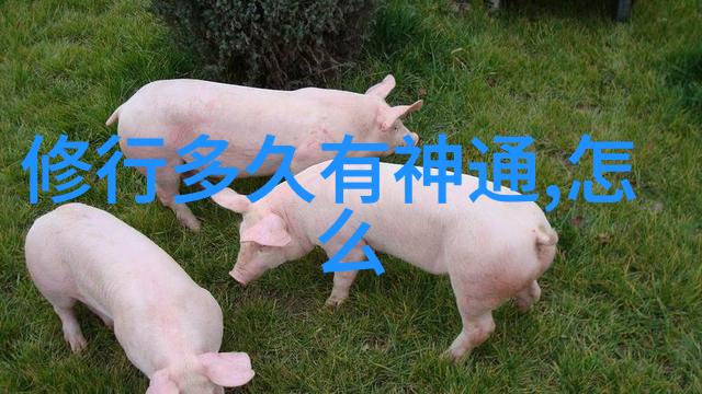从穿越时空到捉弄命运玄学入门指南