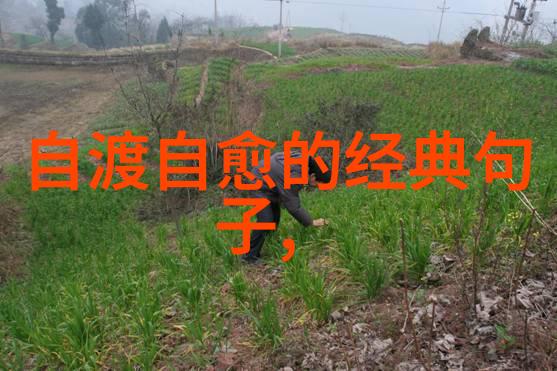 无欲则刚怎么解释这个词我是如何从一个哲学名言中悟到生活的真谛