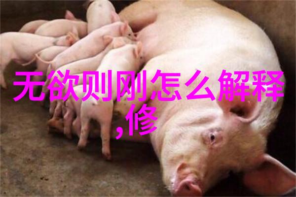 道教三大奇书揭秘天地玄宗的圣典之谜