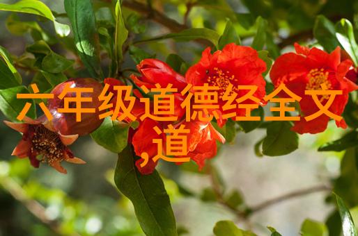 亲近自然领悟天之道实现心灵的净化