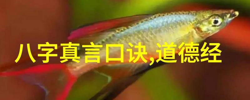 道生一一生二二生三从无到有逆袭之谜