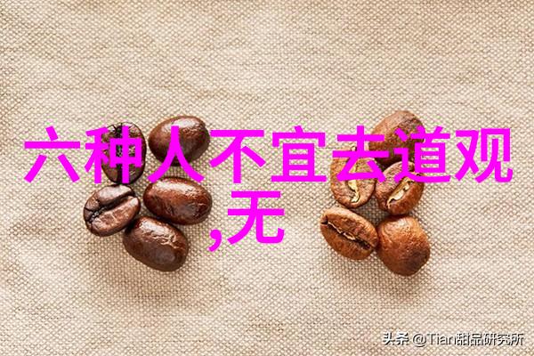 悟透了天道我们该如何行动起来