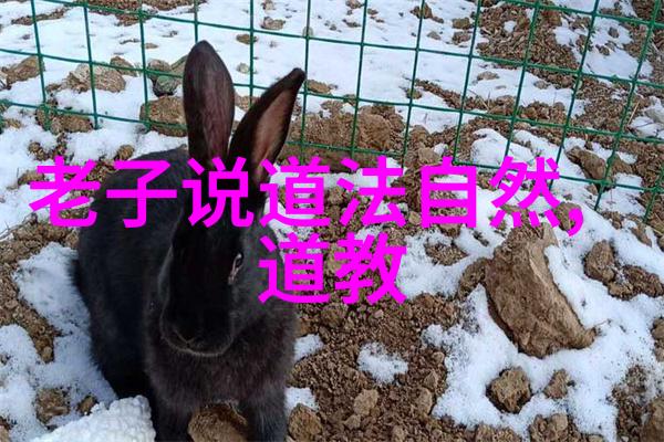 古今交融当代女性是如何运用古老语录表达自己的个性和品味的