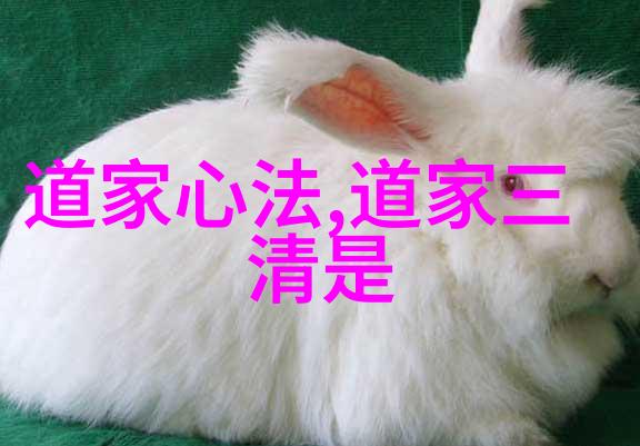 奇门遁甲入门基础学视频教程全集我来教你如何从零开始学习奇门遁甲的绝妙方法