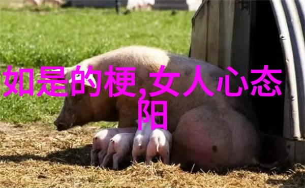 道教的圣者道教历史上的伟大人物