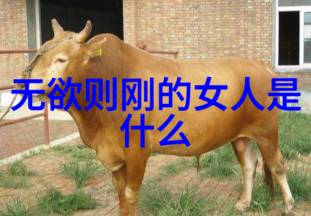 道教神仙体系 - 天界游历揭秘道教神仙的修炼与永生之路