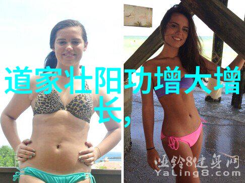 道家智慧论老子与庄子的哲学主张及其对后世影响