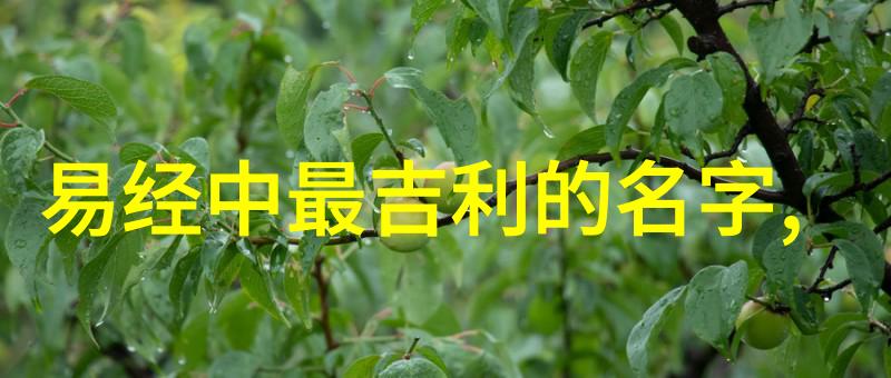 道家救人语录智慧与慈悲的融合