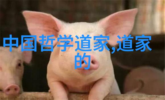 太华伽罗乳液官方网站专业护肤品购物平台