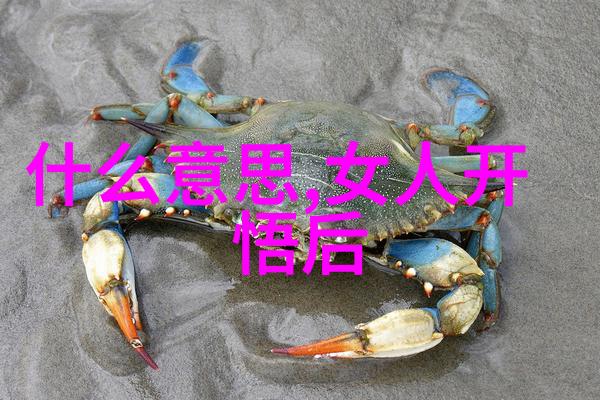 道法自然探索大道至简原理在现代学术研究中的应用与意义