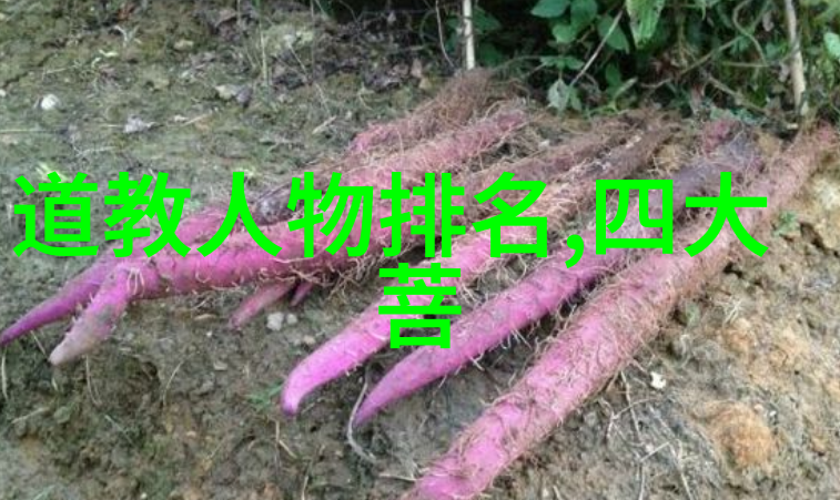 德道经探索古代智慧中的道德真谛