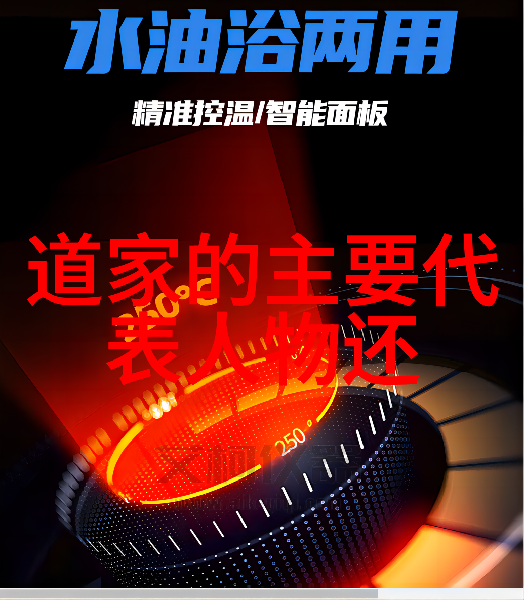 道家智慧之光道家杰出代表人物主张的深度探究