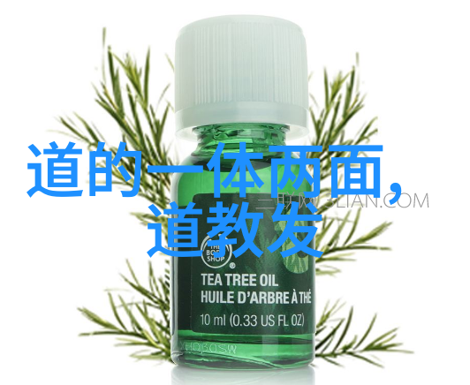 道家真人名单寻踪古今隐世高手
