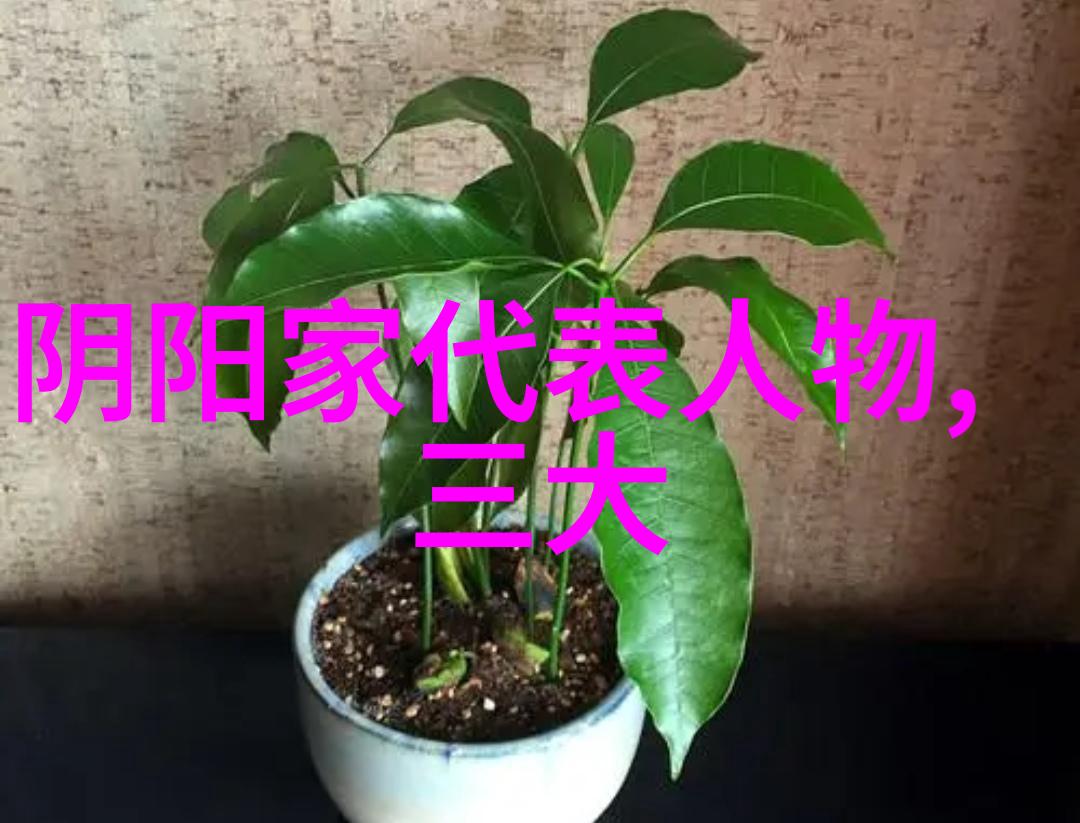 道教修炼之书抱朴子的奇妙世界