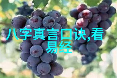 道家神仙生活模式剖析封神演义中的理念