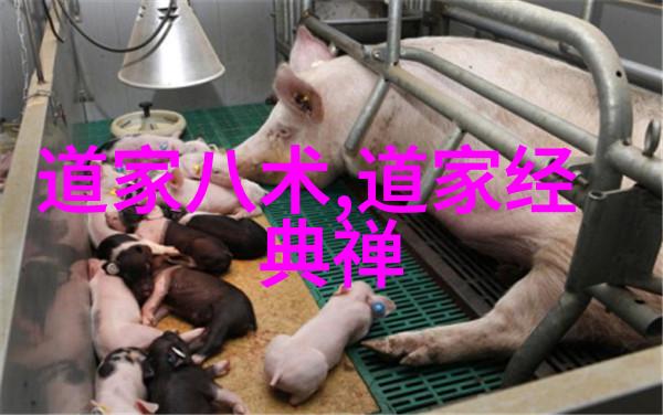 古诗大全带解析-唐代诗歌经典赏析从杜甫到李白的艺术世界