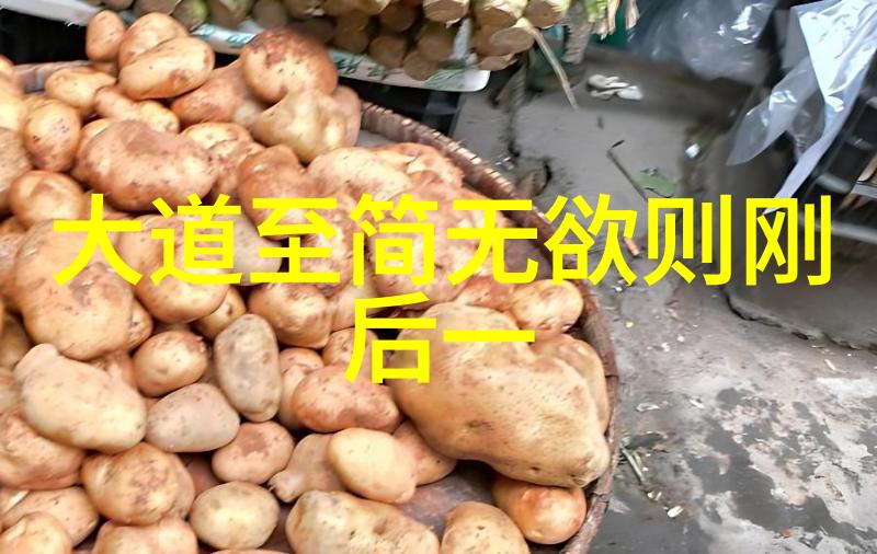 宋代道家代表人物研究智慧的探索与文化的深度